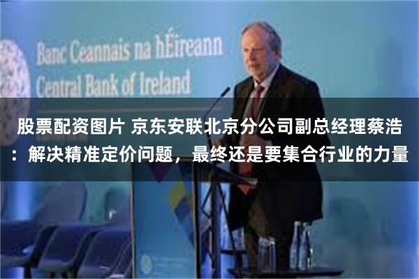 股票配资图片 京东安联北京分公司副总经理蔡浩：解决精准定价问题，最终还是要集合行业的力量