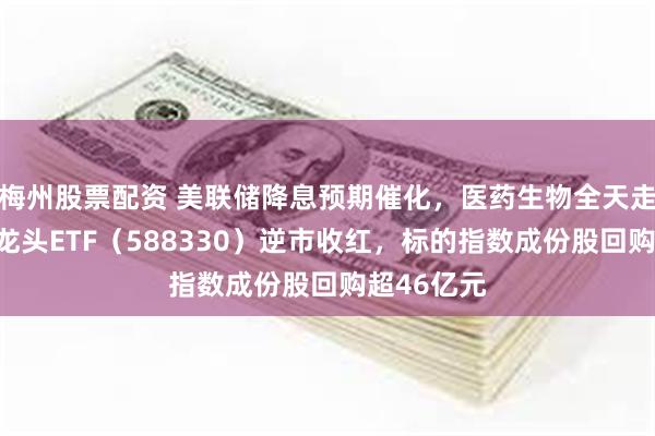 梅州股票配资 美联储降息预期催化,医药生物全天走强!双创龙头ETF(588330)逆市收红,标的指数成份股回购超46亿元