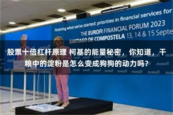 股票十倍杠杆原理 柯基的能量秘密，你知道，干粮中的淀粉是怎么变成狗狗的动力吗？