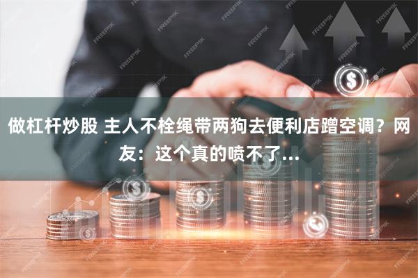 做杠杆炒股 主人不栓绳带两狗去便利店蹭空调？网友：这个真的喷不了...