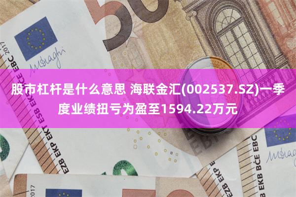 股市杠杆是什么意思 海联金汇(002537.SZ)一季度业绩扭亏为盈至1594.22万元