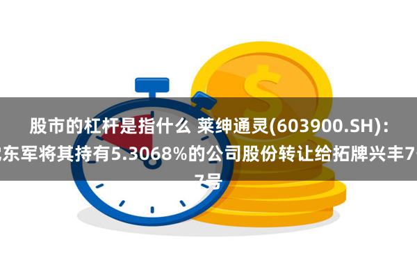 股市的杠杆是指什么 莱绅通灵(603900.SH)：沈东军将其持有5.3068%的公司股份转让给拓牌兴丰7号