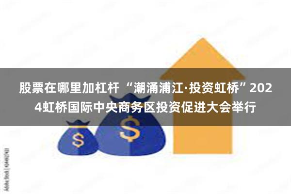 股票在哪里加杠杆 “潮涌浦江·投资虹桥”2024虹桥国际中央商务区投资促进大会举行