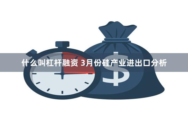 什么叫杠杆融资 3月份硅产业进出口分析