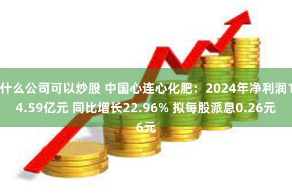 什么公司可以炒股 中国心连心化肥：2024年净利润14.59亿元 同比增长22.96% 拟每股派息0.26元