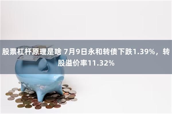 股票杠杆原理是啥 7月9日永和转债下跌1.39%，转股溢价率11.32%