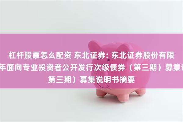 杠杆股票怎么配资 东北证券: 东北证券股份有限公司2025年面向专业投资者公开发行次级债券(第三期)募集说明书摘要