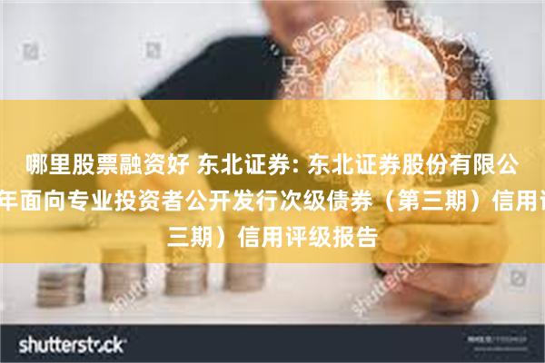 哪里股票融资好 东北证券: 东北证券股份有限公司2025年面向专业投资者公开发行次级债券(第三期)信用评级报告