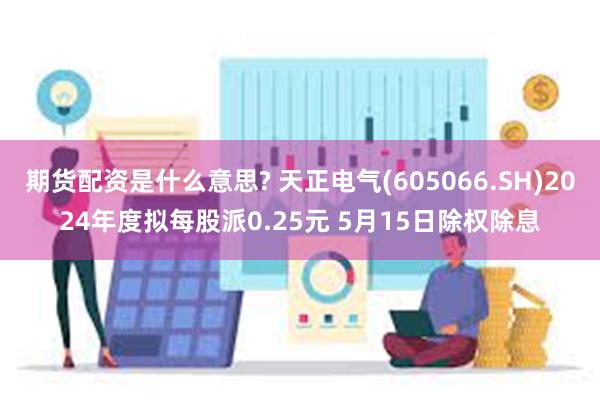 期货配资是什么意思? 天正电气(605066.SH)2024年度拟每股派0.25元 5月15日除权除息