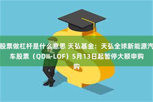 股票做杠杆是什么意思 天弘基金:天弘全球新能源汽车股票(QDII-LOF)5月13日起暂停大额申购