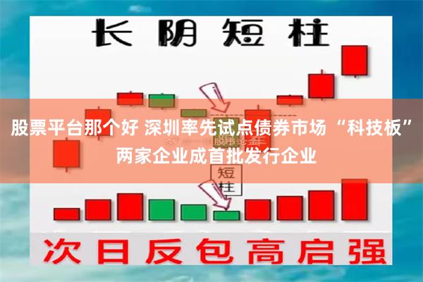 股票平台那个好 深圳率先试点债券市场 “科技板”  两家企业成首批发行企业