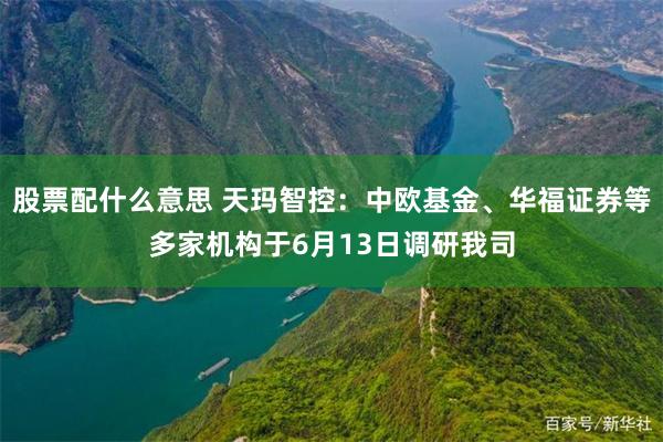 股票配什么意思 天玛智控：中欧基金、华福证券等多家机构于6月13日调研我司