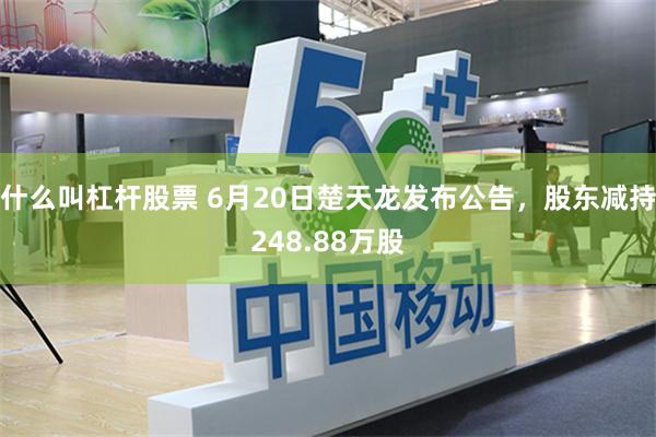 什么叫杠杆股票 6月20日楚天龙发布公告,股东减持248.88万股