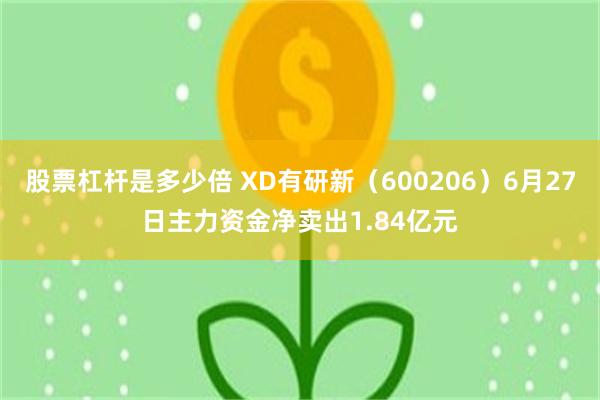 股票杠杆是多少倍 XD有研新（600206）6月27日主力资金净卖出1.84亿元