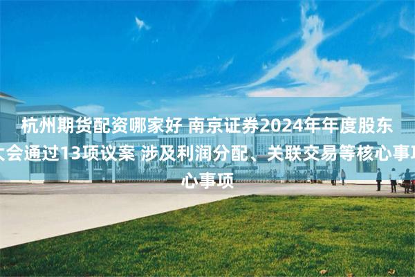 杭州期货配资哪家好 南京证券2024年年度股东大会通过13项议案 涉及利润分配、关联交易等核心事项