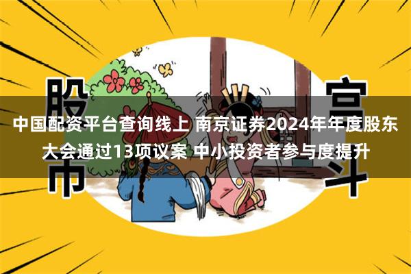 中国配资平台查询线上 南京证券2024年年度股东大会通过13项议案 中小投资者参与度提升