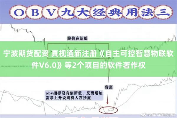 宁波期货配资 真视通新注册《自主可控智慧物联软件V6.0》等2个项目的软件著作权