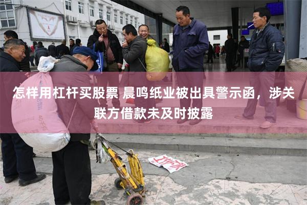 怎样用杠杆买股票 晨鸣纸业被出具警示函，涉关联方借款未及时披露
