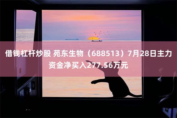 借钱杠杆炒股 苑东生物（688513）7月28日主力资金净买入277.56万元