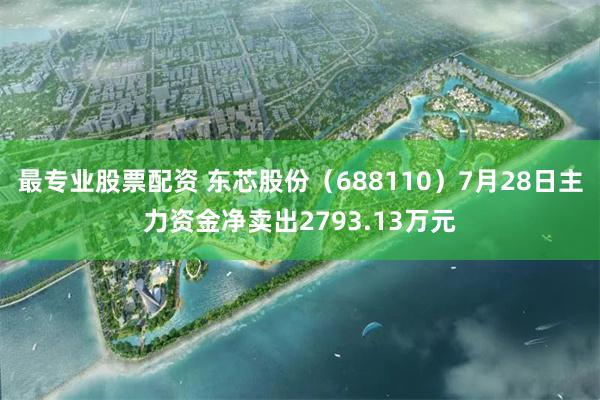 最专业股票配资 东芯股份（688110）7月28日主力资金净卖出2793.13万元