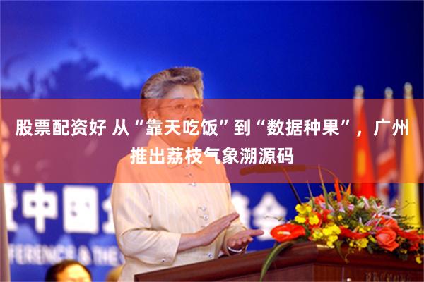 股票配资好 从“靠天吃饭”到“数据种果”，广州推出荔枝气象溯源码