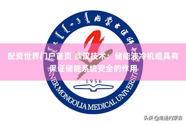 配资世界门户首页 鼎汉技术：储能液冷机组具有保证储能系统安全的作用