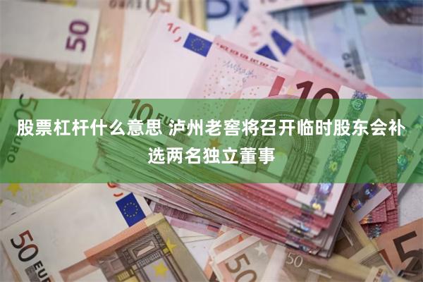 股票杠杆什么意思 泸州老窖将召开临时股东会补选两名独立董事