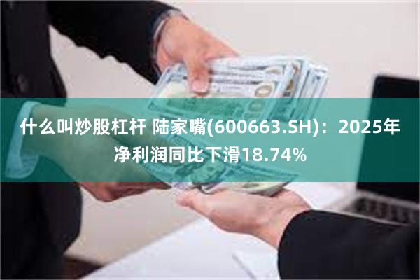 什么叫炒股杠杆 陆家嘴(600663.SH)：2025年净利润同比下滑18.74%