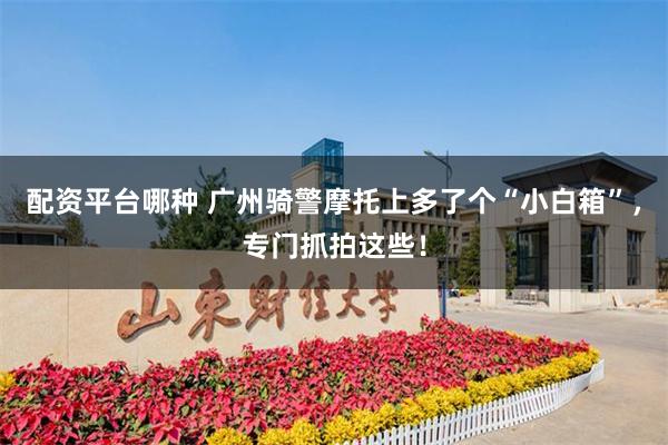配资平台哪种 广州骑警摩托上多了个“小白箱”，专门抓拍这些！