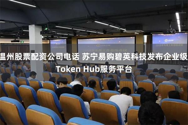 温州股票配资公司电话 苏宁易购碧英科技发布企业级 Token Hub服务平台