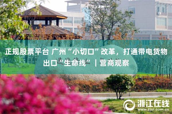 正规股票平台 广州“小切口”改革,打通带电货物出口“生命线”|营商观察