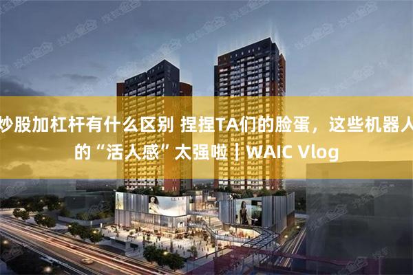 炒股加杠杆有什么区别 捏捏TA们的脸蛋，这些机器人的“活人感”太强啦｜WAIC Vlog