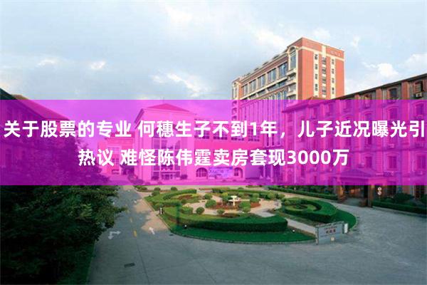 关于股票的专业 何穗生子不到1年，儿子近况曝光引热议 难怪陈伟霆卖房套现3000万