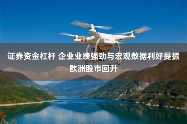 证券资金杠杆 企业业绩强劲与宏观数据利好提振欧洲股市回升