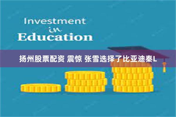 扬州股票配资 震惊 张雪选择了比亚迪秦L