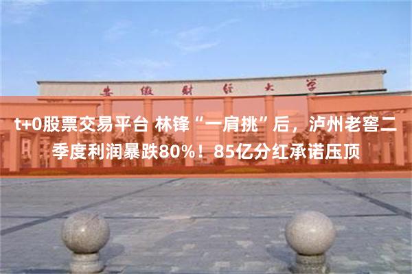 t+0股票交易平台 林锋“一肩挑”后，泸州老窖二季度利润暴跌80%！85亿分红承诺压顶