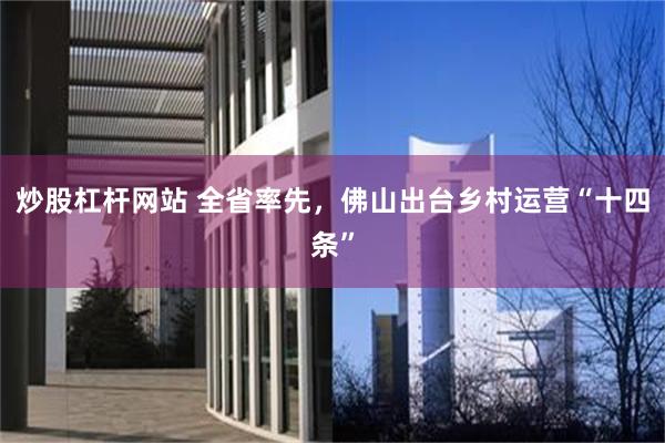 炒股杠杆网站 全省率先，佛山出台乡村运营“十四条”