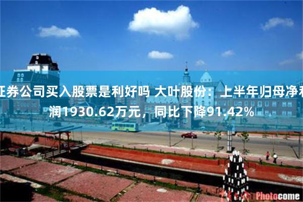 证券公司买入股票是利好吗 大叶股份：上半年归母净利润1930.62万元，同比下降91.42%