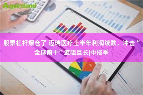 股票杠杆爆仓了 迈瑞医疗上半年利润续跌，冲击“全球前十”道阻且长|中报季