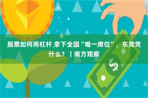 股票如何用杠杆 拿下全国“唯一席位”，东莞凭什么？｜南方观察