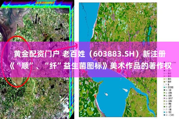 黄金配资门户 老百姓（603883.SH）新注册《“顺”、“纤”益生菌图标》美术作品的著作权