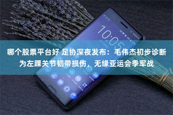 哪个股票平台好 足协深夜发布:毛伟杰初步诊断为左踝关节韧带损伤,无缘亚运会季军战