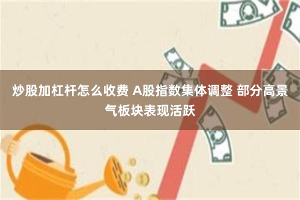 炒股加杠杆怎么收费 A股指数集体调整 部分高景气板块表现活跃