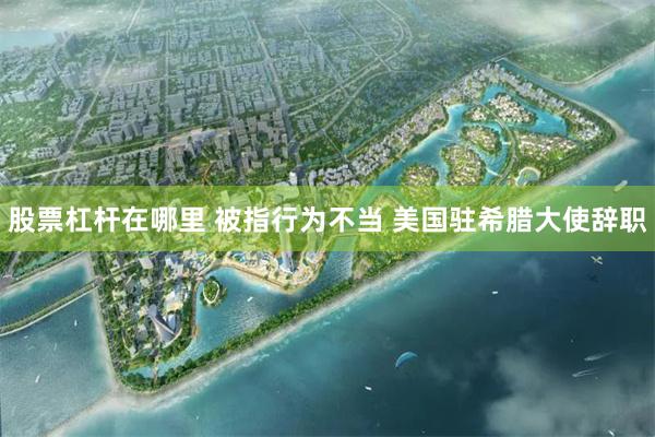 股票杠杆在哪里 被指行为不当 美国驻希腊大使辞职