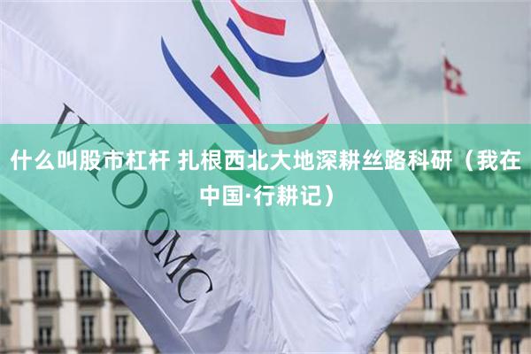 什么叫股市杠杆 扎根西北大地深耕丝路科研（我在中国·行耕记）