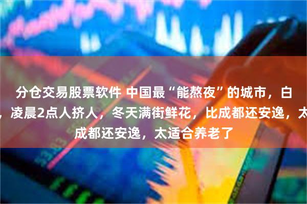 分仓交易股票软件 中国最“能熬夜”的城市，白天大街没人，凌晨2点人挤人，冬天满街鲜花，比成都还安逸，太适合养老了