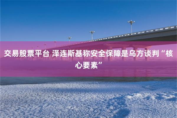 交易股票平台 泽连斯基称安全保障是乌方谈判“核心要素”