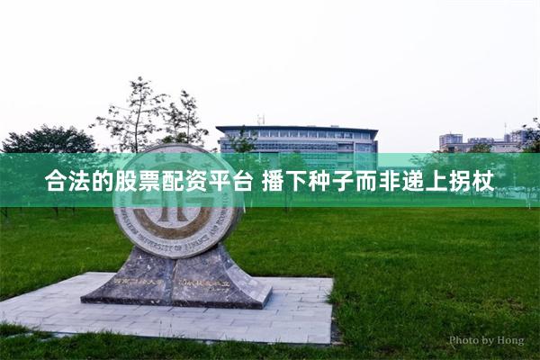 合法的股票配资平台 播下种子而非递上拐杖