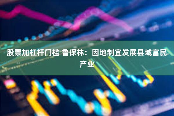 股票加杠杆门槛 鲁保林：因地制宜发展县域富民产业